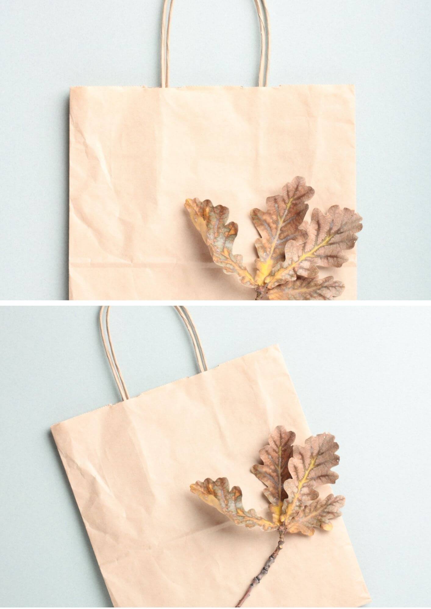 A brown kraft paper bag photo with autumn leaves